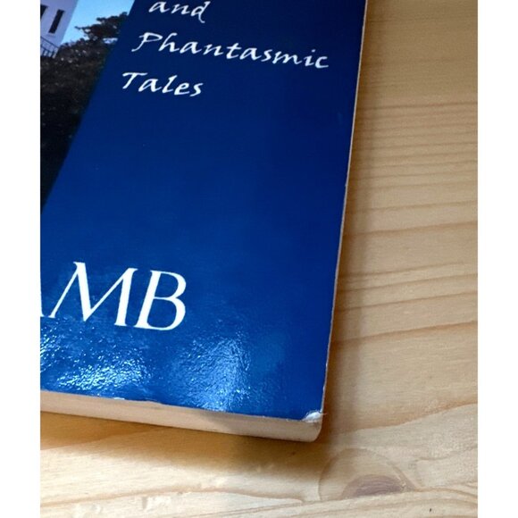 San Diego Specters by John J. Lamb Ghost Stories Paranormal Book Softcover 2007 - Picture 8 of 9